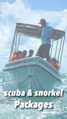 Dive Packages Lanka
