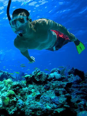 Snorkelling Sri Lanka